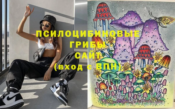 гашик Беломорск