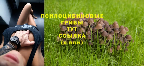 MDMA Белокуриха