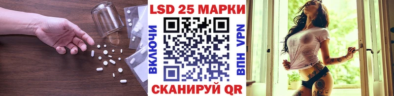 Купить закладки  Гороховец  ЛСД экстази кислота 